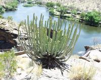 10-18-2003 : 23, Arrêt nø90, Daan Viljoen Game Reserve