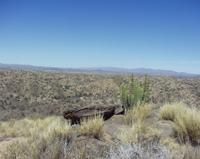 10-18-2003 : 23, Arrêt nø90, Daan Viljoen Game Reserve