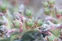 09-11-2008 : 10, Arrêt nø49, Colline avec château d'eau à Rosh Pinah