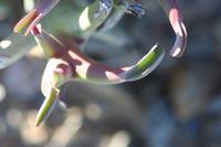 09-11-2008 : 10, Arrêt nø49, Colline avec château d'eau à Rosh Pinah