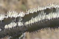 09-16-2008 : 15, Arrêt nø68, bord de route