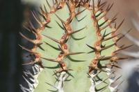 09-16-2008 : 15, Arrêt nø68, bord de route