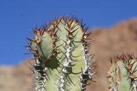 09-16-2008 : 15, Arrêt nø68, bord de route