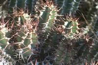 09-16-2008 : 15, Arrêt nø68, bord de route