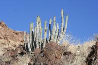 09-16-2008 : 15, Arrêt nø68, bord de route