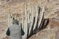 09-16-2008 : 15, Arrêt nø68, bord de route
