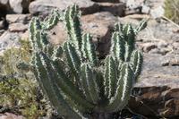 09-10-2008 : 09, Arrêt nø38, Retour sur la D324