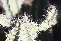 09-10-2008 : 09, Arrêt nø38, Retour sur la D324