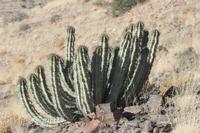 09-16-2008 : 15, Arrêt nø68, bord de route