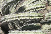 09-16-2008 : 15, Arrêt nø68, bord de route