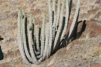 09-16-2008 : 15, Arrêt nø68, bord de route