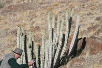 09-16-2008 : 15, Arrêt nø68, bord de route