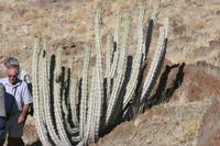 09-16-2008 : 15, Arrêt nø68, bord de route