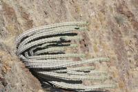 09-16-2008 : 15, Arrêt nø68, bord de route