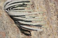 09-16-2008 : 15, Arrêt nø68, bord de route