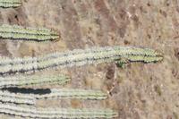 09-16-2008 : 15, Arrêt nø68, bord de route