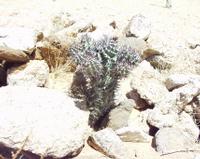 10-17-2003 : 22, Arrêt nø84, Route transversale