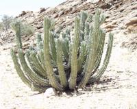 10-17-2003 : 22, Arrêt nø84, Route transversale