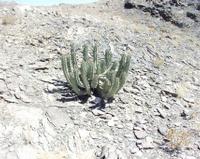 10-17-2003 : 22, Arrêt nø85, Bord de route et pont