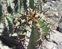 10-17-2003 : 22, Arrêt nø85, Bord de route et pont