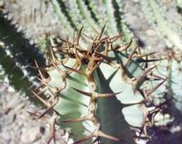 10-17-2003 : 22, Arrêt nø85, Bord de route et pont