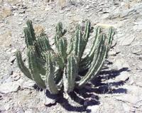 10-17-2003 : 22, Arrêt nø85, Bord de route et pont