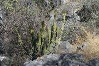 09-22-2008 : 21, Arrêt nø97, de Etosha Namutoni à Windhoek