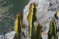 09-22-2008 : 21, Arrêt nø97, de Etosha Namutoni à Windhoek