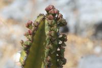 09-22-2008 : 21, Arrêt nø97, de Etosha Namutoni à Windhoek