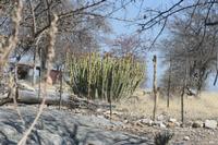 09-22-2008 : 21, Arrêt nø97, de Etosha Namutoni à Windhoek