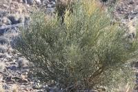 09-11-2008 : 10, Arrêt nø49, Colline avec château d'eau à Rosh Pinah