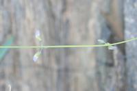 09-11-2008 : 10, Arrêt nø43, Orange River