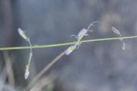 09-11-2008 : 10, Arrêt nø43, Orange River