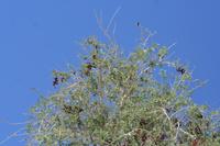 09-16-2008 : 15, Arrêt nø70, Solitaire country lodge