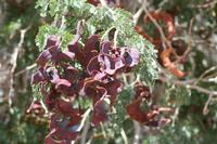 09-16-2008 : 15, Arrêt nø70, Solitaire country lodge