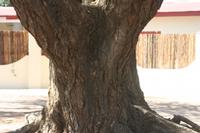 09-16-2008 : 15, Arrêt nø70, Solitaire country lodge