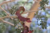 09-16-2008 : 15, Arrêt nø70, Solitaire country lodge