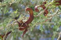 09-16-2008 : 15, Arrêt nø70, Solitaire country lodge