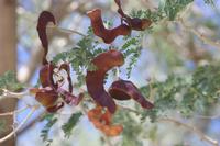 09-16-2008 : 15, Arrêt nø70, Solitaire country lodge