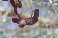 09-16-2008 : 15, Arrêt nø70, Solitaire country lodge