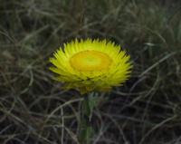 10-08-2003 : 13, Arrêt nø47, Bord de route un peu plus bas en altitude