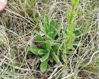 10-08-2003 : 13, Arrêt nø47, Bord de route un peu plus bas en altitude