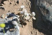 09-11-2008 : 10, Arrêt nø43, Orange River