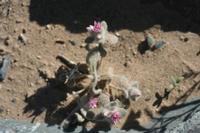 09-11-2008 : 10, Arrêt nø43, Orange River