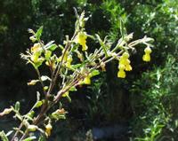 10-05-2003 : 10, Arrêt nø36, Route le long de la Grootrivier