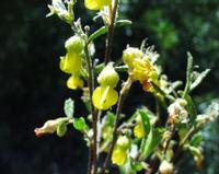 10-05-2003 : 10, Arrêt nø36, Route le long de la Grootrivier