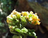 10-05-2003 : 10, Arrêt nø36, Route le long de la Grootrivier