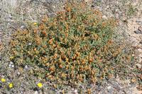 09-07-2008 : 06, Arrêt nø21, bord de route