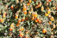 09-07-2008 : 06, Arrêt nø21, bord de route