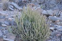 09-11-2008 : 10, Arrêt nø49, Colline avec château d'eau à Rosh Pinah